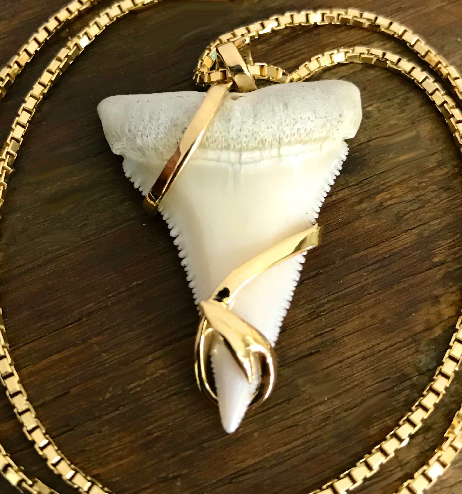 14 Kt Yellow Gold Custom Designed Harpoon Gold Framed Shark Tooth Pendant